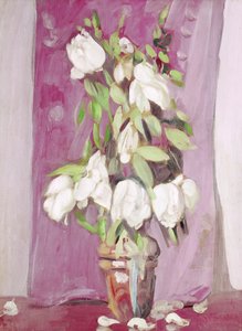 Witte Tulpen